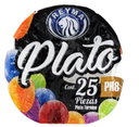 Imagen de PLATO POZOLERO PH8 BOLSA CON 25 PIEZA